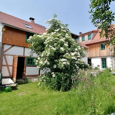 Ferienwohnung Villa Claudia Dresden Eksteriør billede